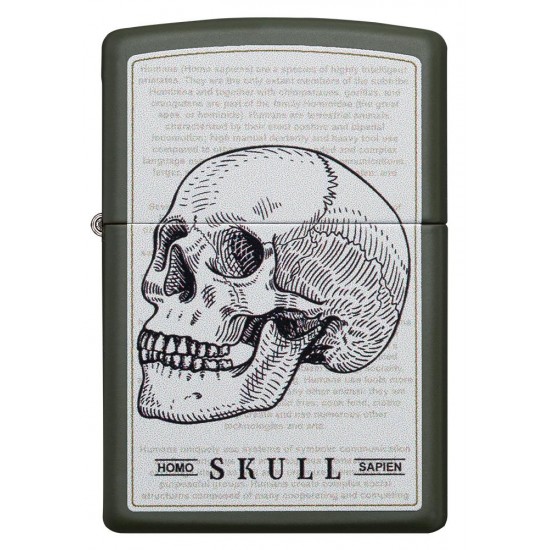 Zippo, Skull, 49602